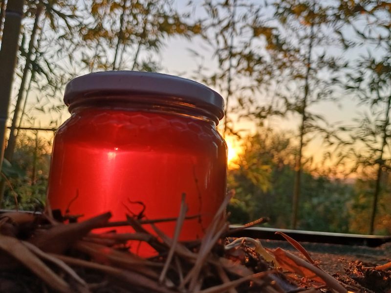 Vasetto di miele controluce, attraversato dalla luce del tramonto sulla collina